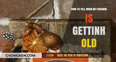 Recognizing Aging: Chicken Edition