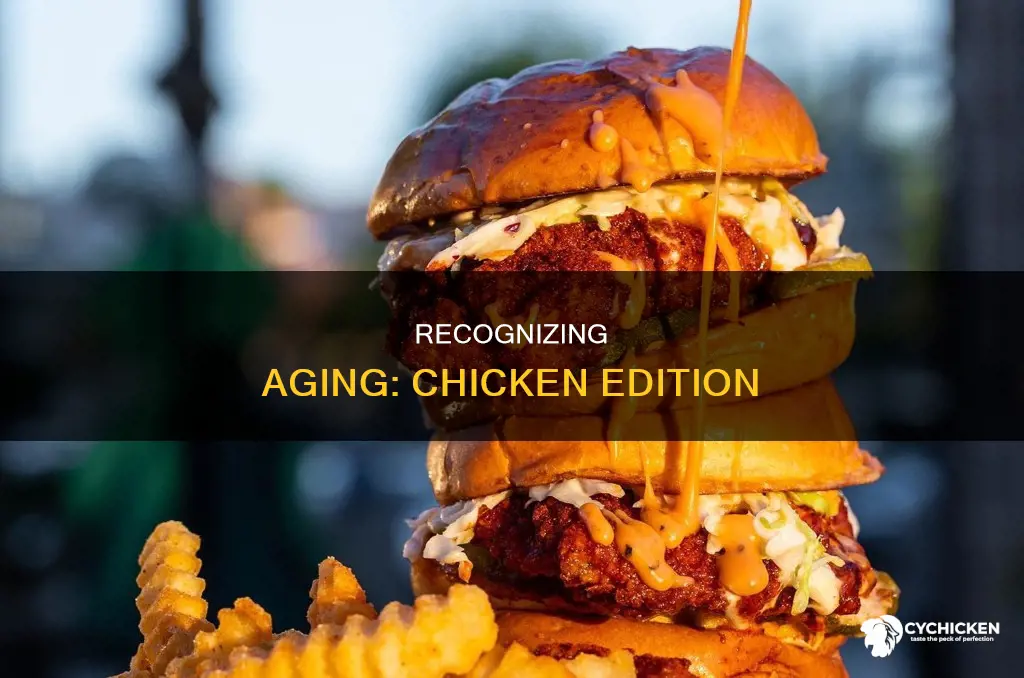 how to tell when my chicken is gettinh old