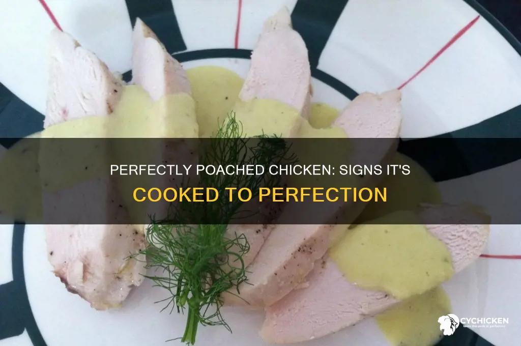 how to tell when poached chicken is done