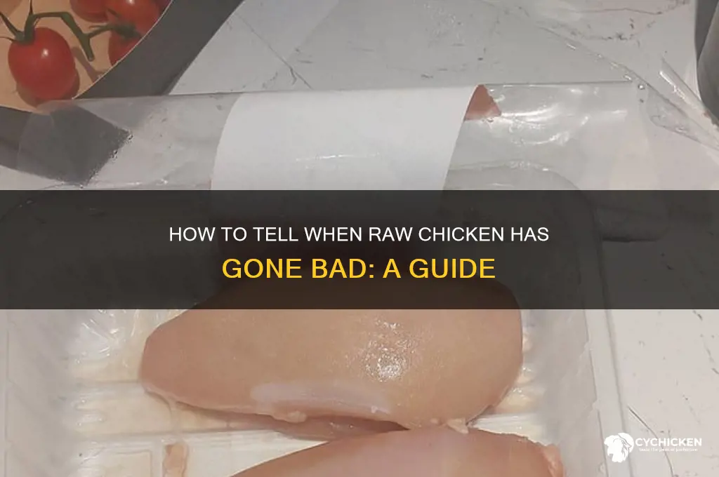 how to tell when raw chicken goes back
