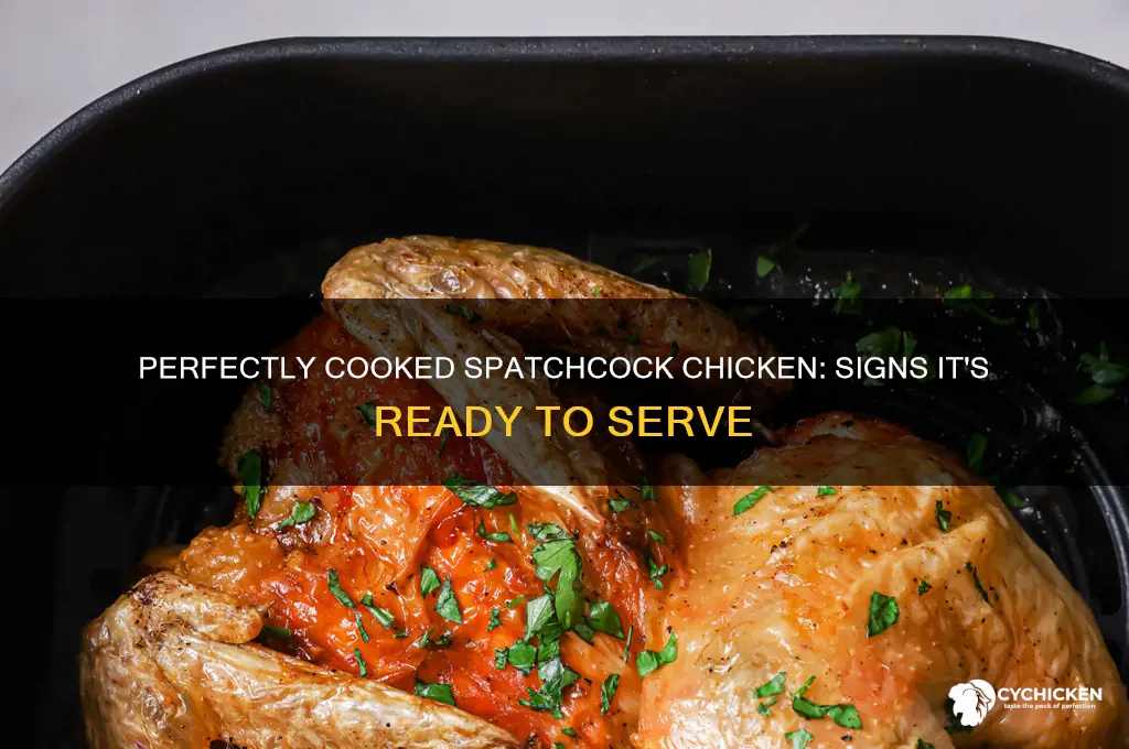 how to tell when spatchcock chicken is done