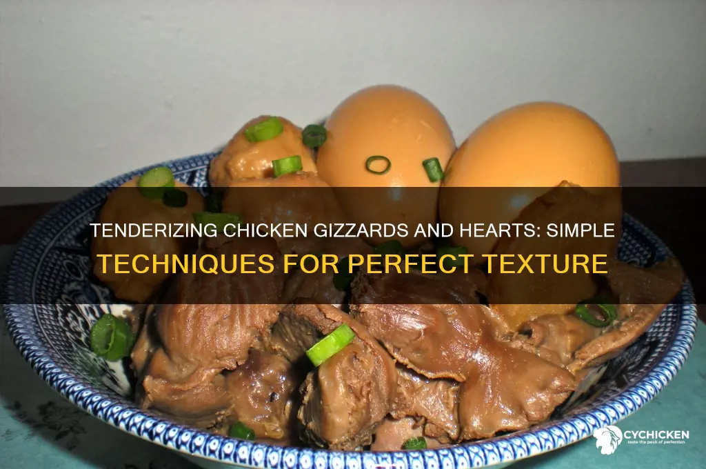 how to tenderize chicken gizzards and hearts
