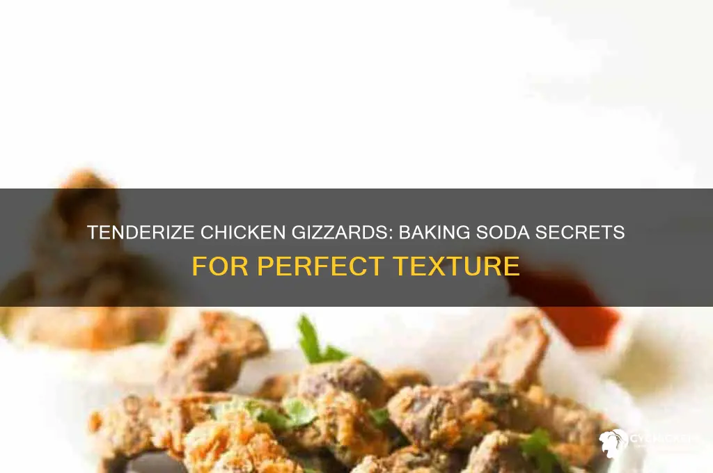 how to tenderize chicken gizzards with baking soda