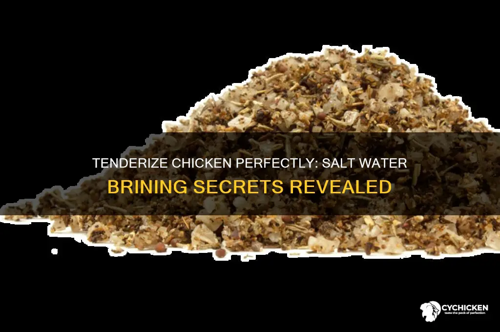 how to tenderize chicken with salt water
