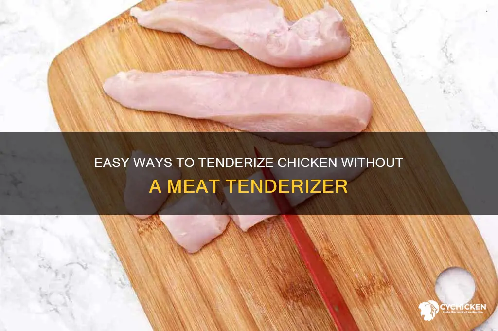 how to tenderize chicken without a meat tenderizer