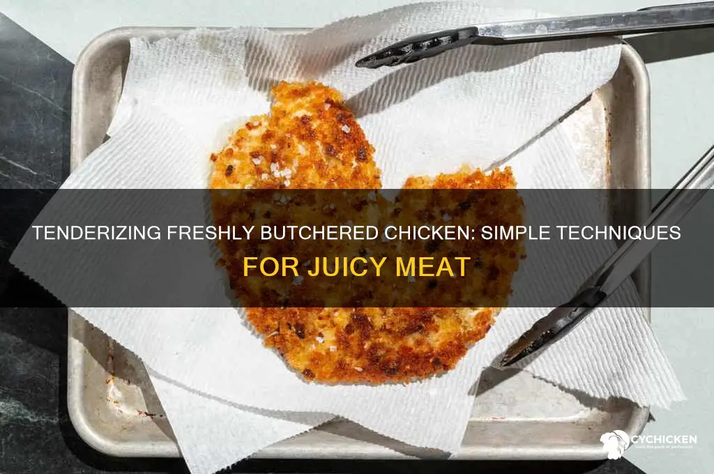 how to tenderize newly buched chicken meat