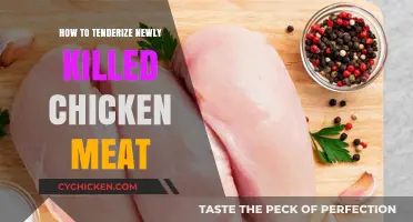 Tenderizing Freshly Slaughtered Chicken: Quick Tips for Juicy, Tender Meat