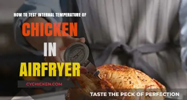 Testing Chicken Internal Temperature in Air Fryers