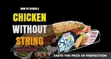 Creative Ways to Safely Tether a Chicken Without Using String