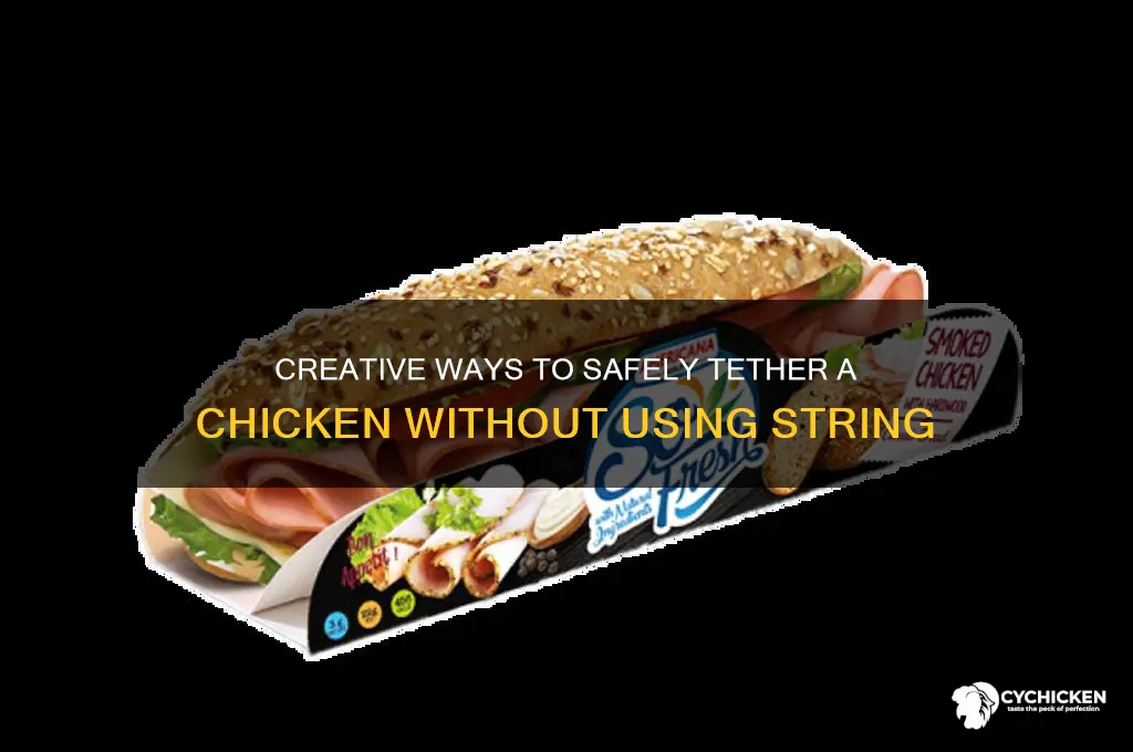 how to tether a chicken without string
