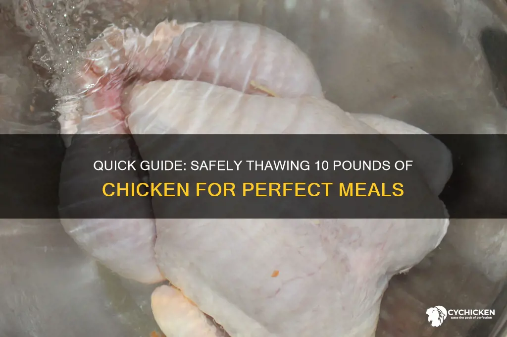 how to thaw 10 pounds of chicken