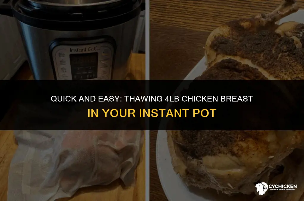 how to thaw 4lb chicken breast in instant pot