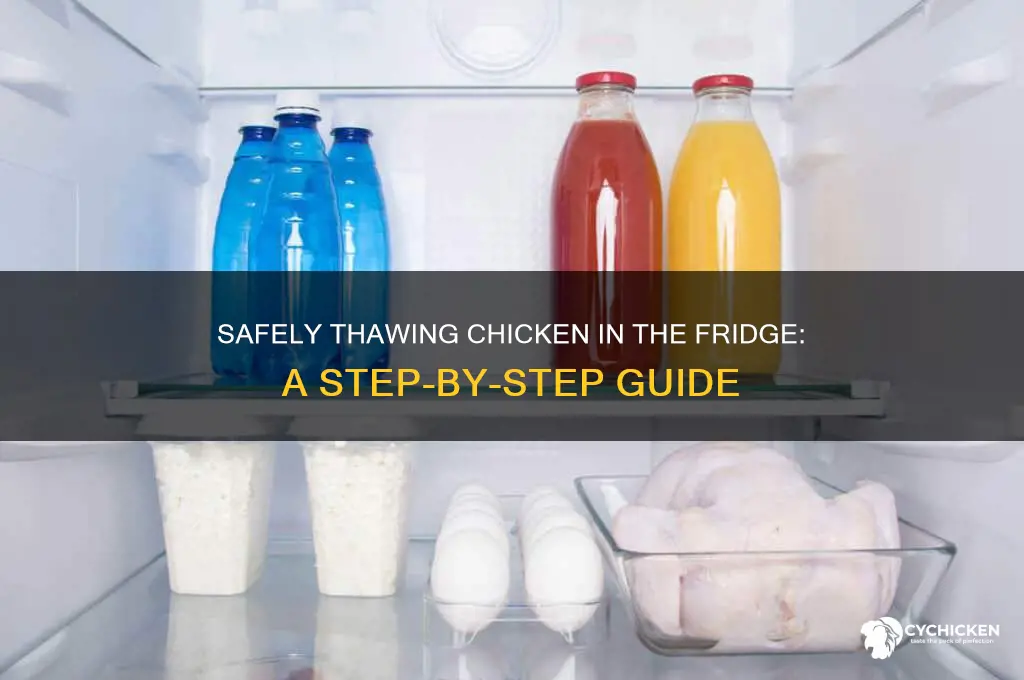 how to thaw a chicken in the fridge
