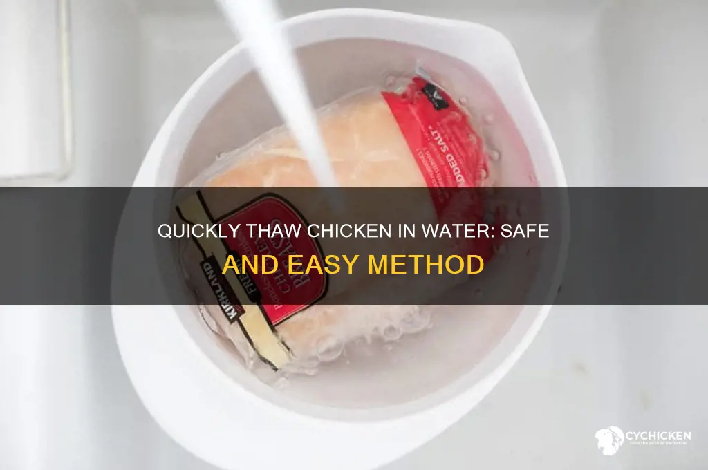 how to thaw a chicken in water