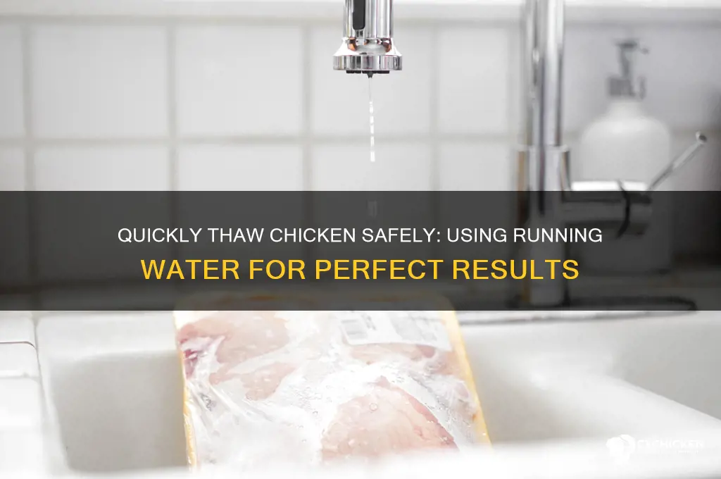 how to thaw a chicken with running water