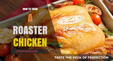Quick and Safe Methods to Thaw a Roaster Chicken