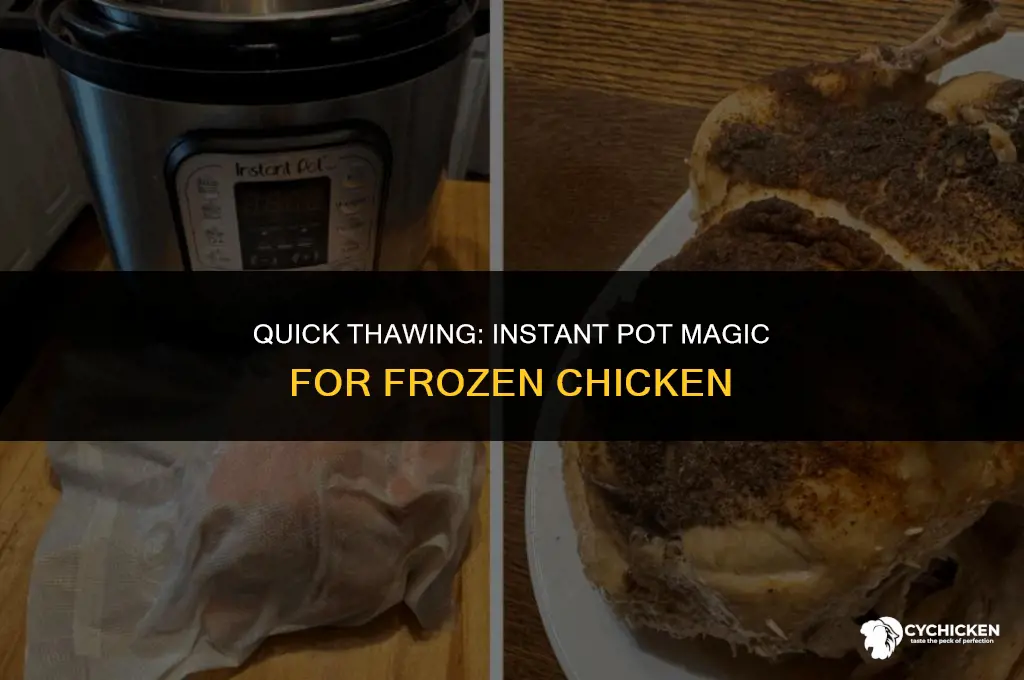 how to thaw a whole chicken in an instant pot