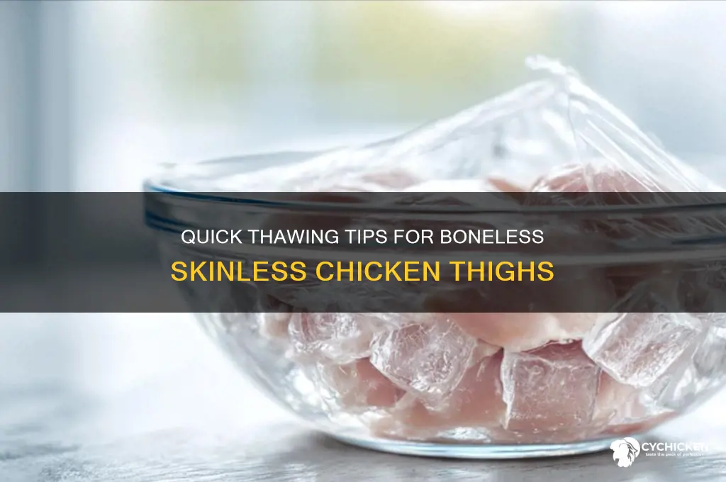 how to thaw boneless skinless chicken thighs