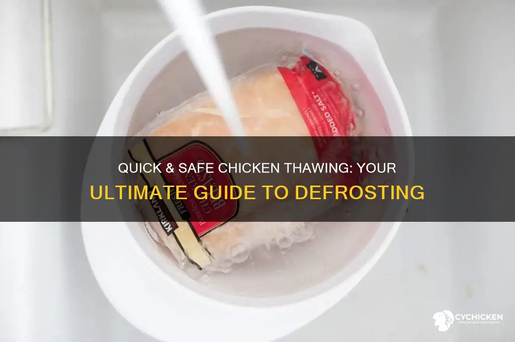 how to thaw chicken fast and safe