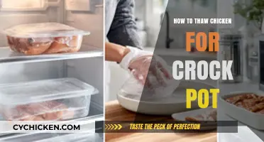 Safe and Speedy Thawing: Preparing Chicken for Your Crock Pot