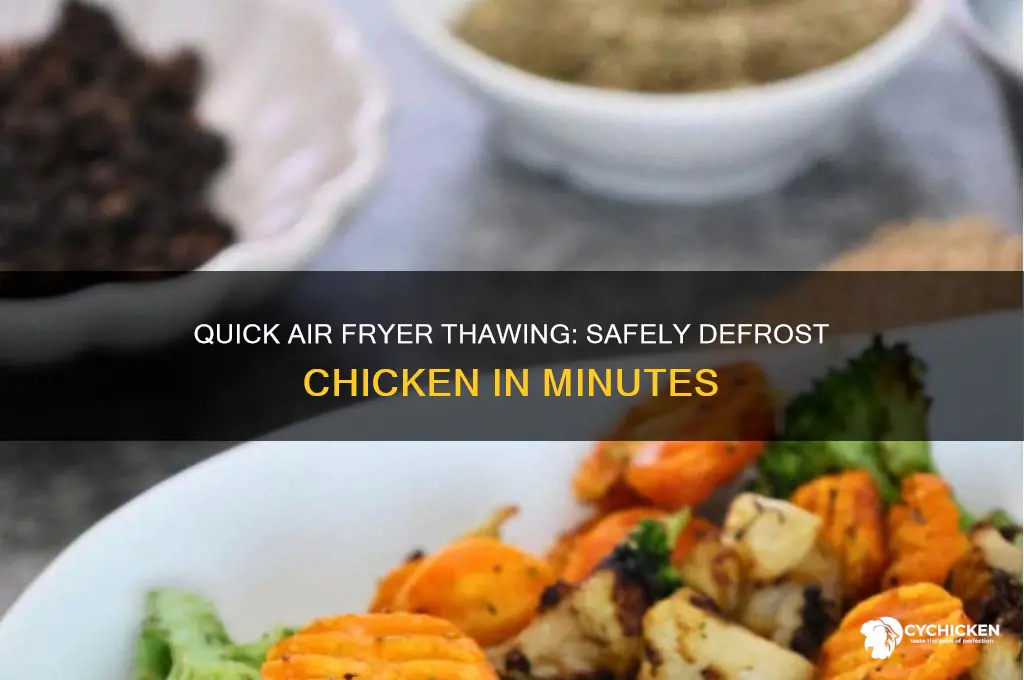 how to thaw chicken in air fryer