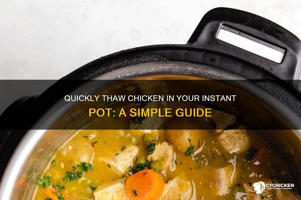 how to thaw chicken in an instapot