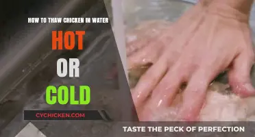 Thawing Chicken: Hot or Cold Water?