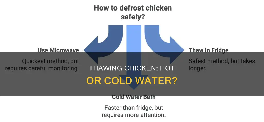 how to thaw chicken in water hot or cold
