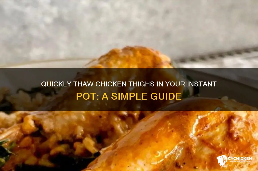 how to thaw chicken thighs in instant pot