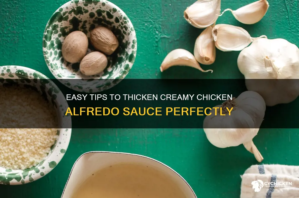 how to thicken chicken alfredo sauce