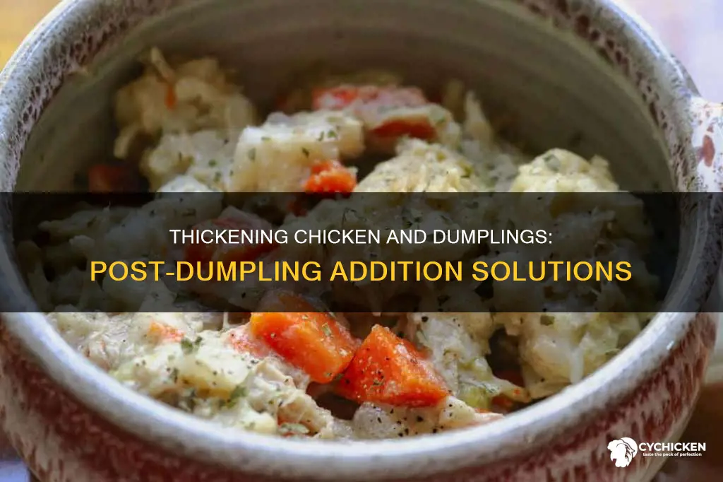 how to thicken chicken and dumplings after adding dumplings