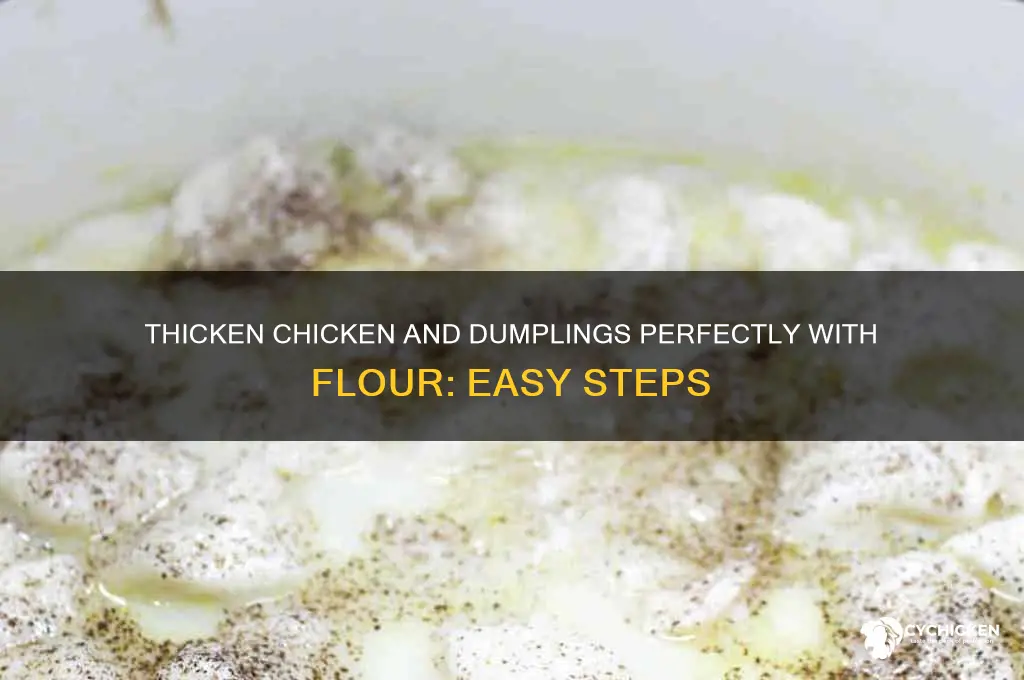 how to thicken chicken and dumplings with flour