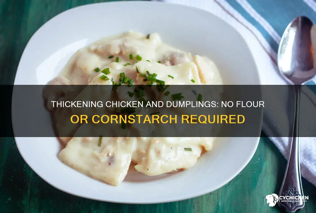 how to thicken chicken and dumplings without flour or cornstarch