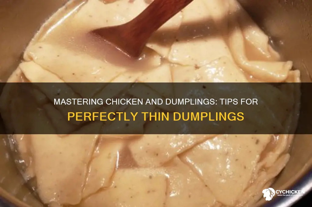 how to thin out chicken and dumplings