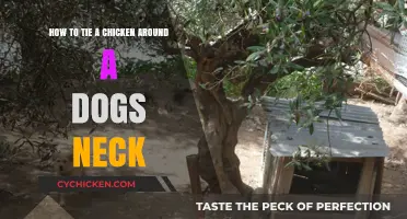 Training Dogs: Tying a Chicken Around Their Neck