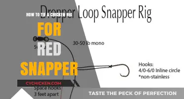 Rigging Chicken for Red Snapper: The Ultimate Guide