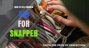 Mastering the Chicken Rig: A Snapper Fishing Guide