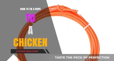 Securely Tying a Rope to a Chicken: A Step-by-Step Guide