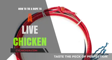 Tying a Live Chicken: The Ultimate Guide to Knots