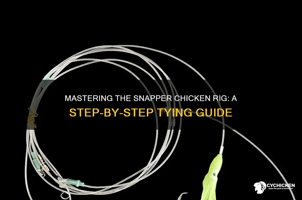 how to tie a snapper chicken rig