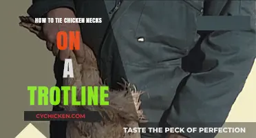 Mastering Trotline Techniques: Tying Chicken Necks Like a Pro