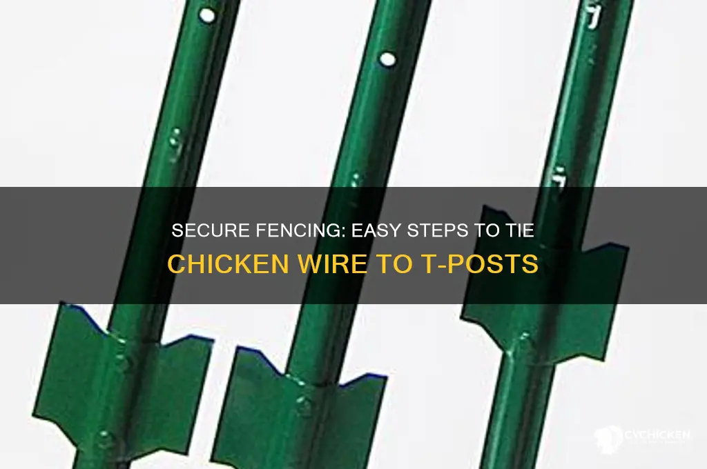 how to tie chicken wire to t post