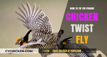 Master the Prairie Chicken Twist Fly: A Step-by-Step Guide