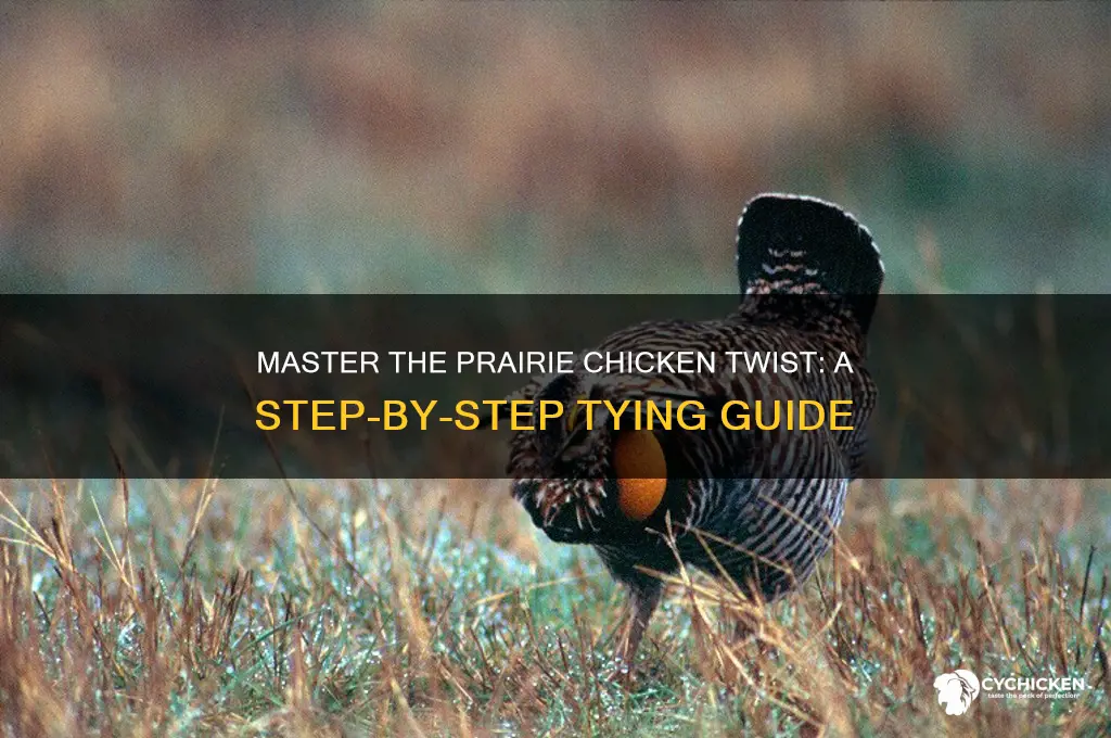 how to tie the prairie chicken twist