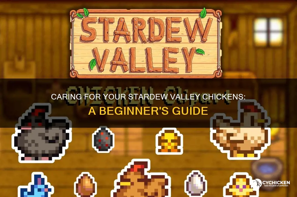 how to tke care of chicken stardew