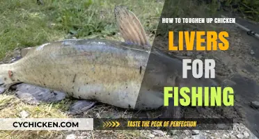 Mastering the Art of Toughening Chicken Livers for Effective Fishing Bait