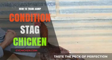 Mastering Stag Chicken Training: Essential Conditioning Techniques for Success