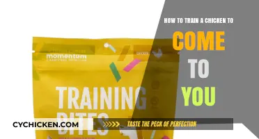 Training Chickens: Come to You in 5 Steps