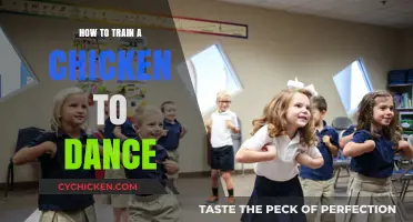 Teaching Your Chicken to Dance: Fun Steps for Poultry Performers