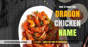 Training Your Dragon Chicken: Choosing the Perfect Name for Your Pet